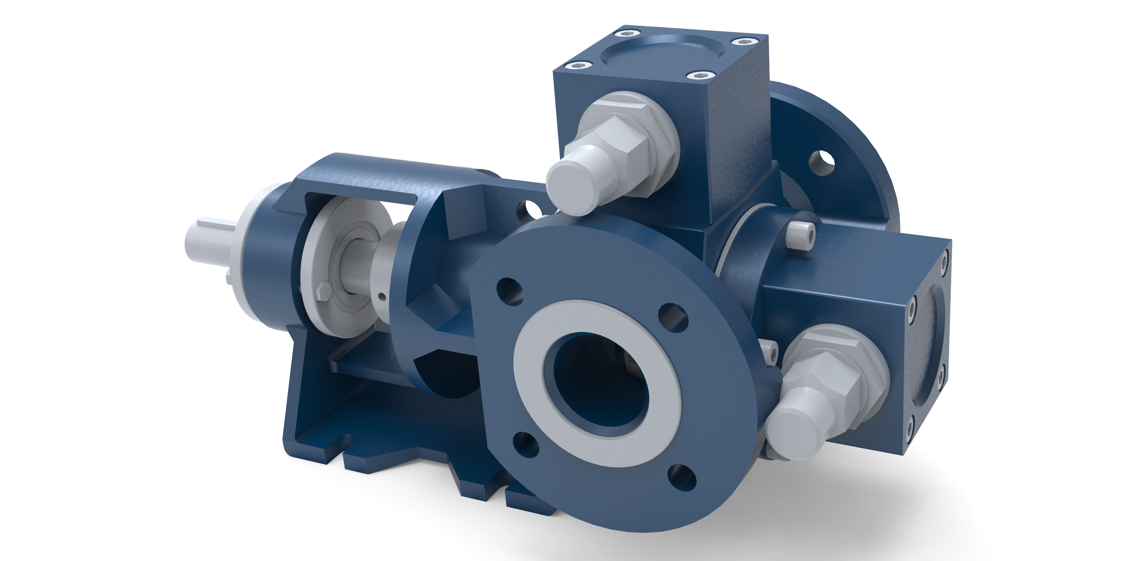 C tip (Flanş bağlantılı) gövde