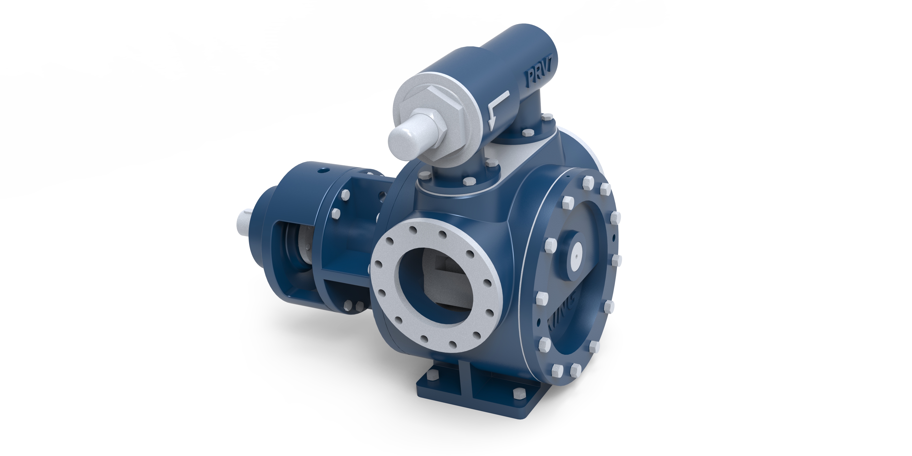 C tip (Flanş bağlantılı) gövde