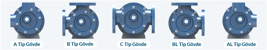 Manyetik Kaplinli WEB